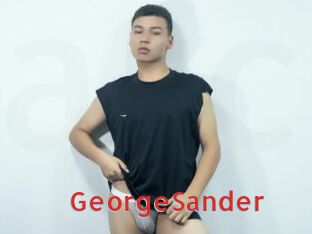 GeorgeSander