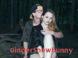 GingerSnowBunny