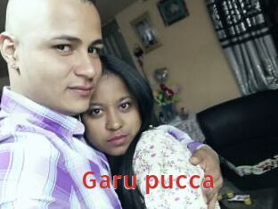 Garu_pucca