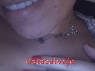 Gatasalvaje