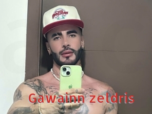 Gawainn_zeldris