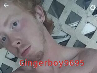 Gingerboy9695