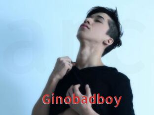 Ginobadboy