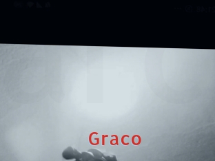 Graco