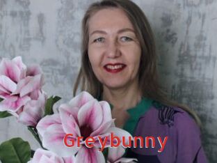 Greybunny