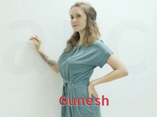 Gunesh