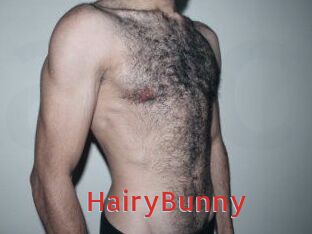 HairyBunny