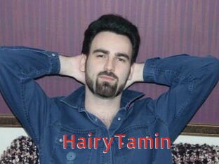 HairyTamin