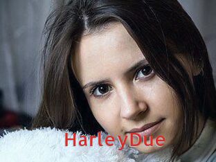 Harley_Due