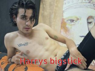 Harrys_bigstick