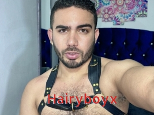 Hairyboyx
