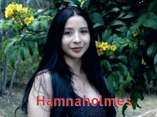 Hamnaholmes