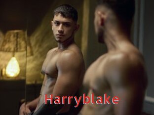 Harryblake
