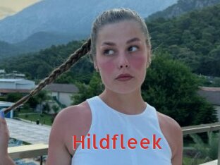 Hildfleek
