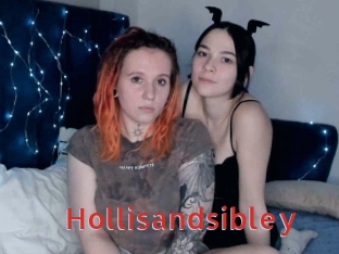 Hollisandsibley