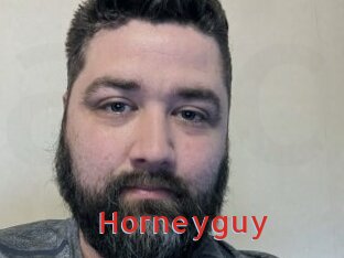 Horneyguy