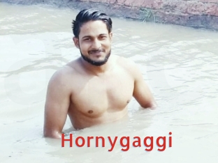 Hornygaggi