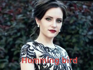 Humming_bird