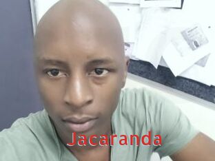 Jacaranda