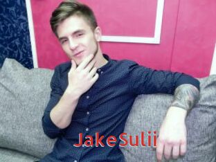 JakeSulii