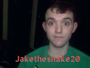 Jakethesnake20