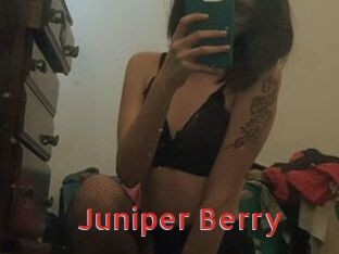 Juniper_Berry