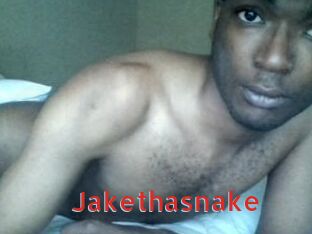 Jake_tha_snake
