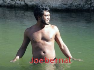 Joebernal
