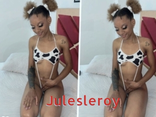 Julesleroy
