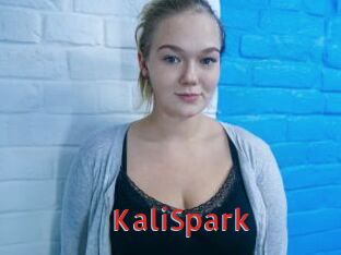 KaliSpark
