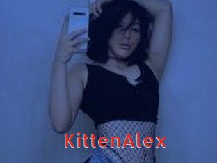 KittenAlex