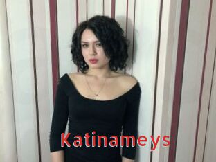 Katinameys