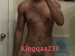 Kingqaa233
