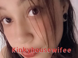 Kinkyhousewifee