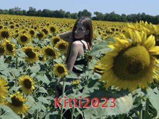 Kitti2023