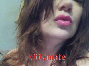 Kittymate