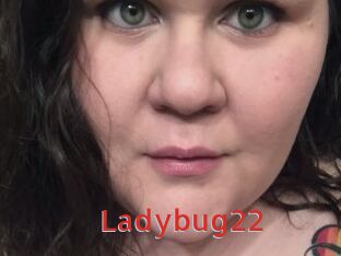 Ladybug22