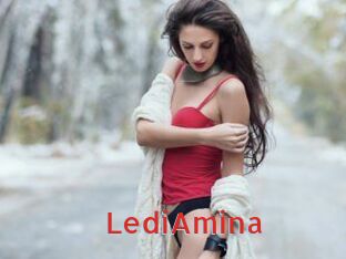 LediAmina