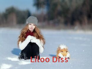 Liloo_Diss