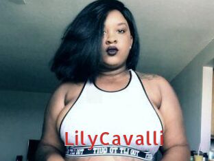 Lily_Cavalli