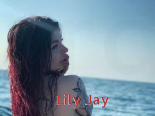 Lily_Jay