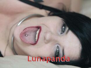 Luna_panda