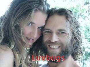 Luvbugs