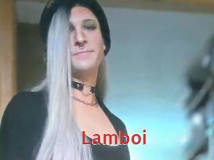 Lamboi