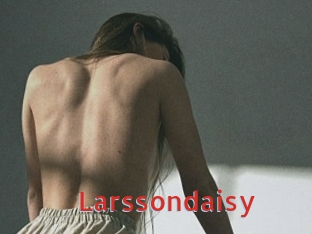 Larssondaisy