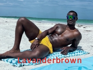 Lavanderbrown