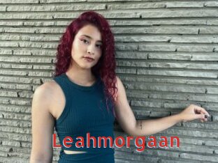 Leahmorgaan