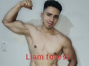 Liam_forest