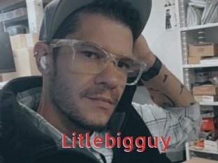 Litlebigguy