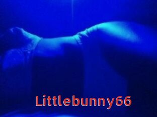 Littlebunny66